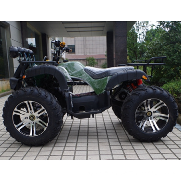 Manufacturer New Upgraded 14" Tyre 1500W Electric ATV (JY-ES020B)